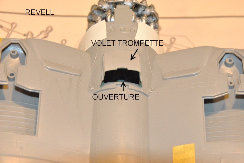 F4U-1A Trompette + Revell - Page 3 Dsc_6237