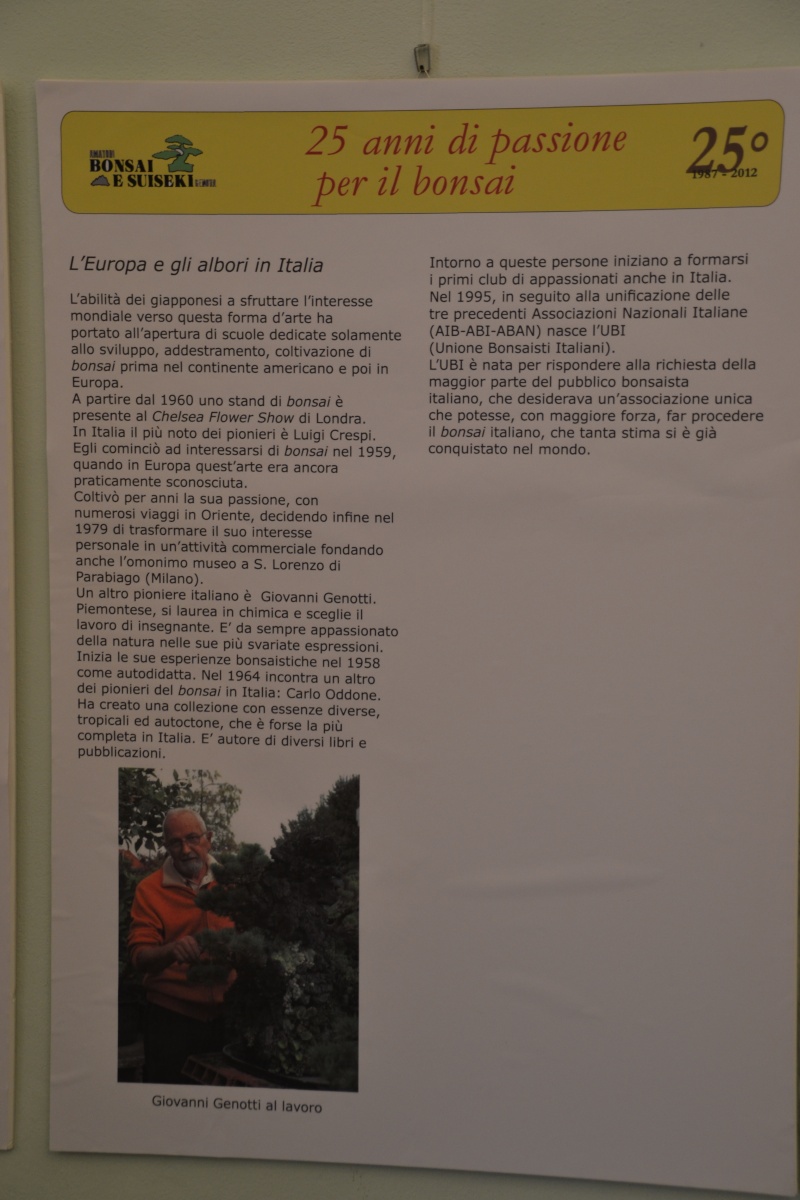 Bonsai in villa - Premio Bonsai Genova 2012 Dsc_2139