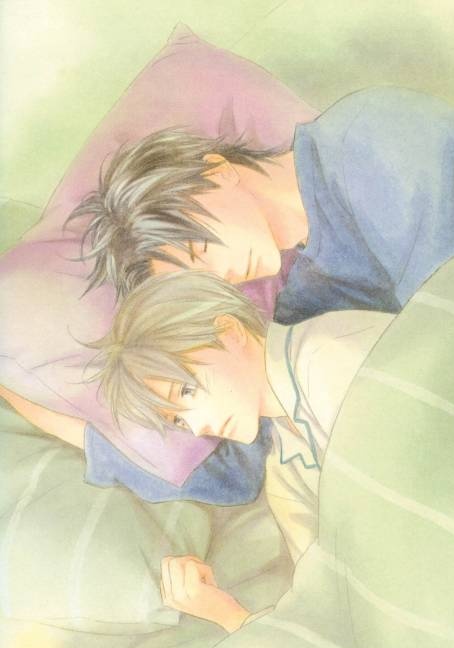 Fan d'images Yaoi, Mature Shojo ou Shojo Toshis10