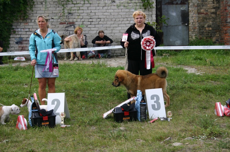 Выставка собак клуба SMURFS Рига 19.08.2012 Img_0212