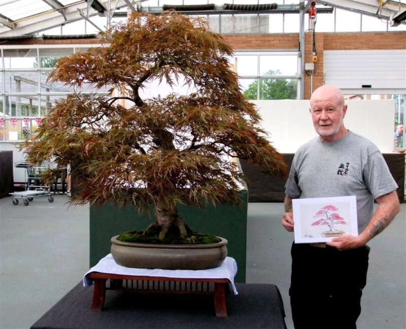 Wirral Bonsai Society Annual Members Show Result 2012 Dscf2310