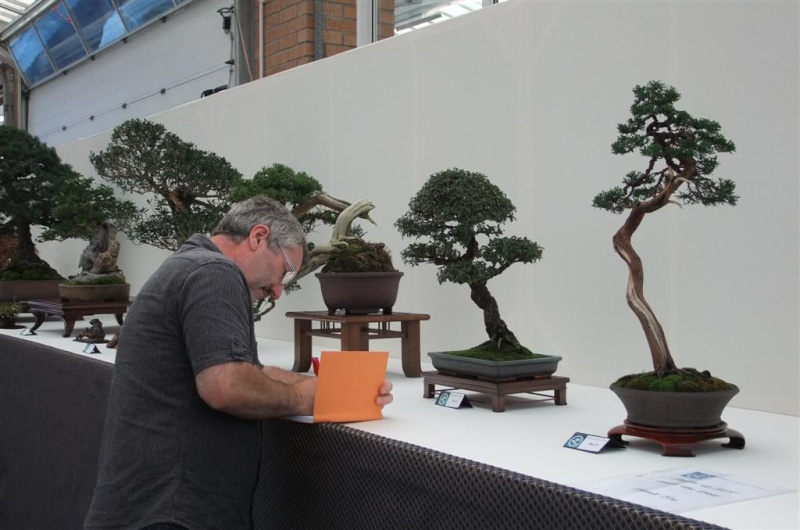 Wirral Bonsai Society Annual Members Show Result 2012 Dscf2612