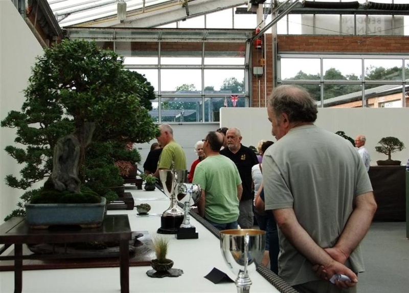 Wirral Bonsai Society Annual Members Show Result 2012 Dscf3412