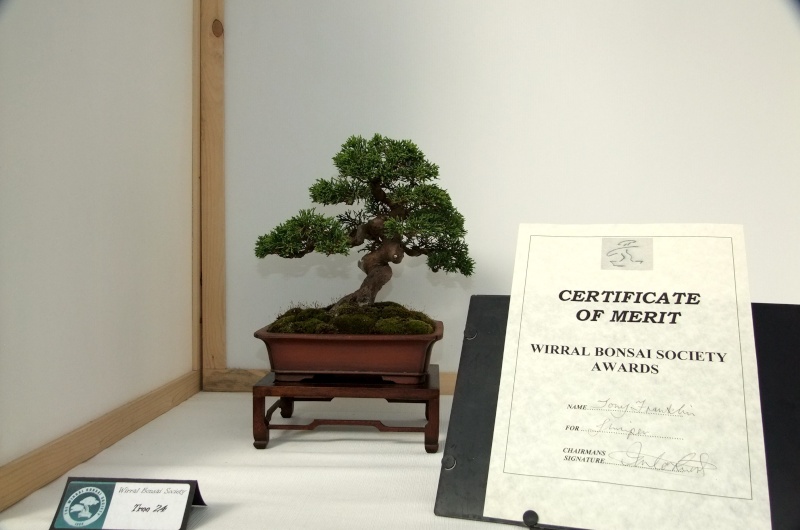 Wirral Bonsai Society Annual Members Show Result 2012 Tony_s13