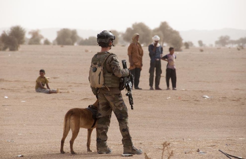 Intervention militaire au Mali - Opération Serval - Page 28 0a022