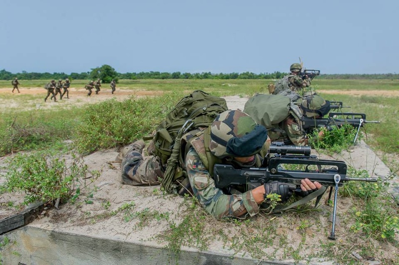 Armée Française / French Armed Forces - Page 24 1a721