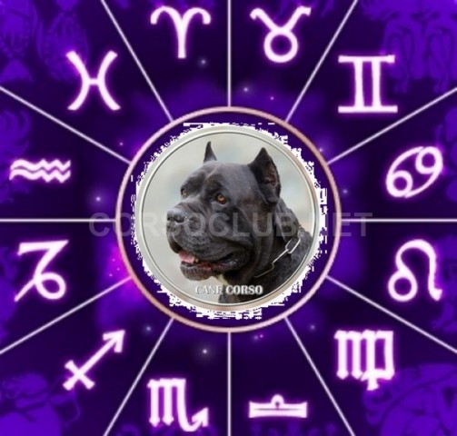 Собачий гороскоп Zodii210