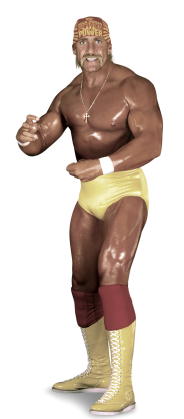 المبارة رقم 10 على حزام WWE CHAMPIONSHIP بين (Hulk Hogan  vs The Iron Sheik) بتاريخ عام 23\1\1984 Hulkho10