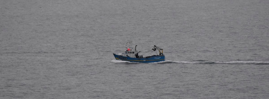 [Vie des ports] Quelques bateaux de pêche (sur nos côtes Françaises) - Page 24 Dsc_0464