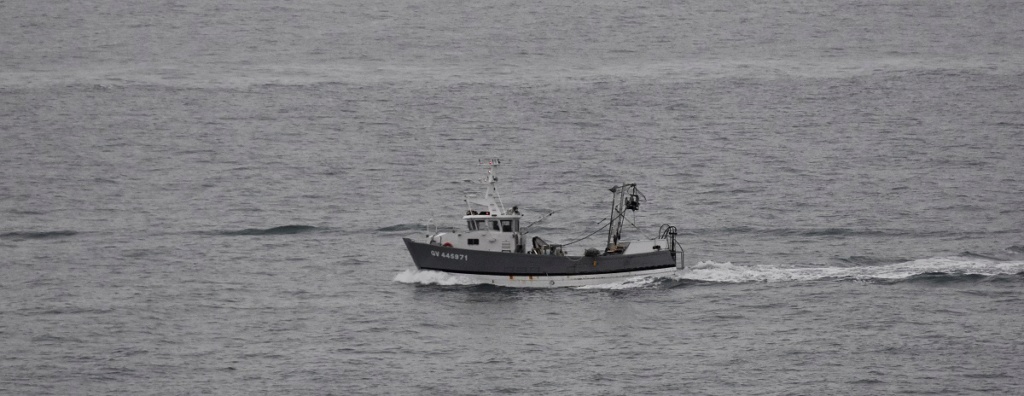 [Vie des ports] Quelques bateaux de pêche (sur nos côtes Françaises) - Page 24 Dsc_0466