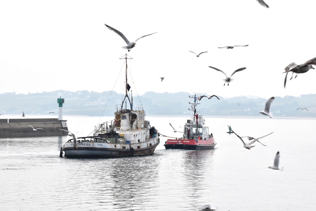 [Vie des ports] LE PORT DE DOUARNENEZ - Page 14 Dsc_1045