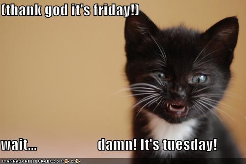 TGIF ... Errr..... Tuesda10