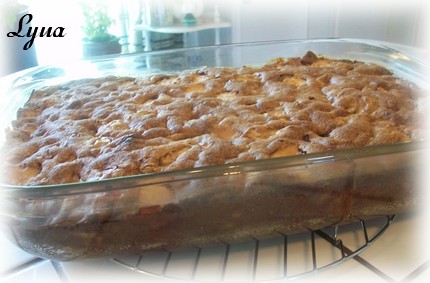 Gâteau pouding aux pommes et sauce caramel Poudin10