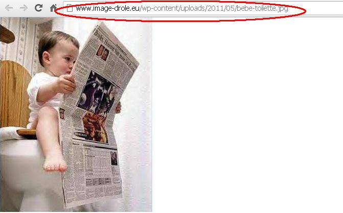 Tuto pour les nuls : poster ( ou héberger ) une image ( ou une photo ) Image_10