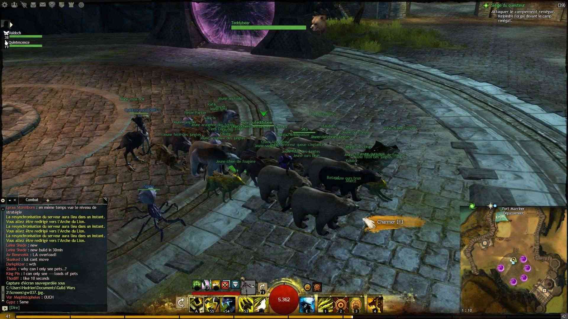 Screenshot Guild Wars 2 Gw03810