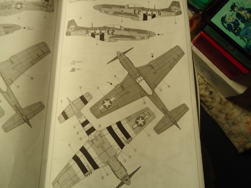 P-51D Tamiya 72° + Kit Aires  Expo_n19