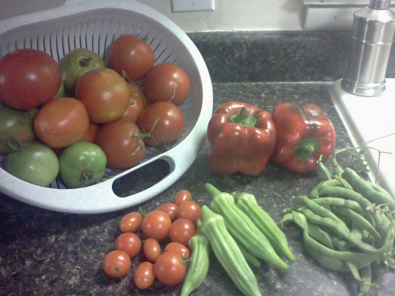 Monthly Avatar: September, Show Off Your Garden Harvest! 07810