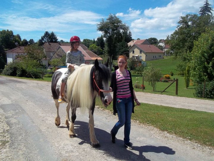 Votez pour "L'irish cob en balade" 42700310