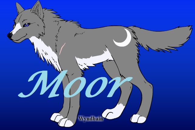 Moor, die Wölfin des Moores Moor_w11