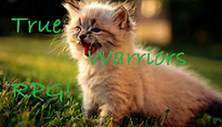 3. Anfrage True Warriors Banner13