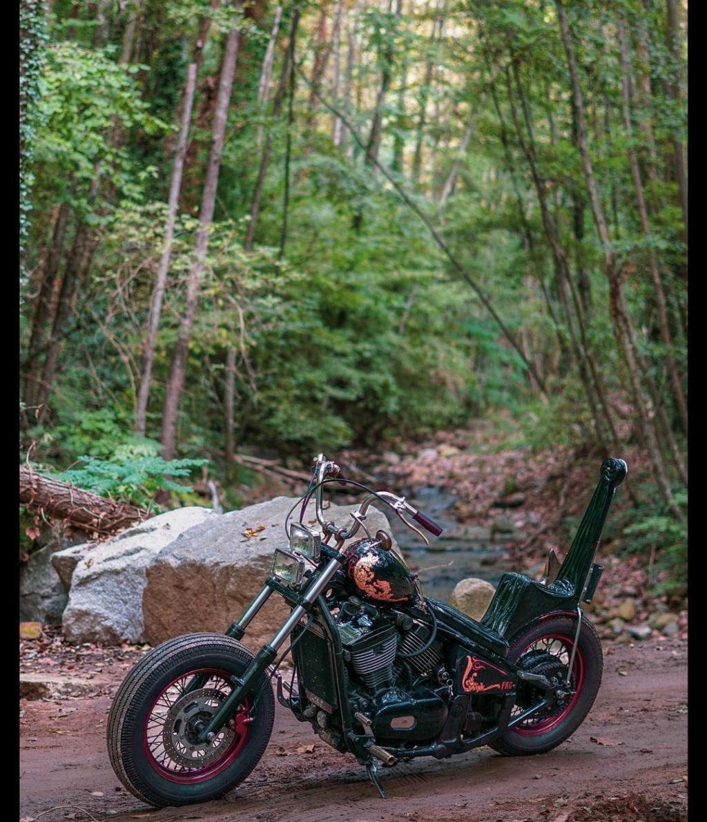 800 VN - Bobber vu sur le net - Page 10 32309510