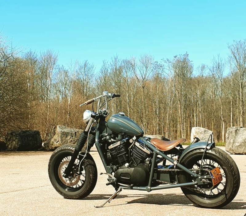 800 VN - Bobber vu sur le net - Page 11 65313311