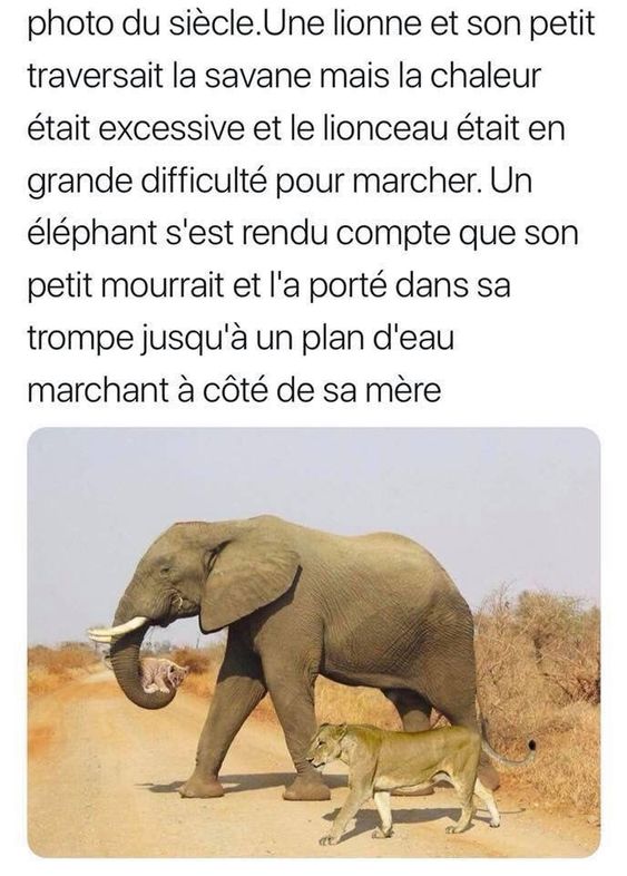 HUMOUR - Savoir écouter et comprendre... - Page 12 89731310