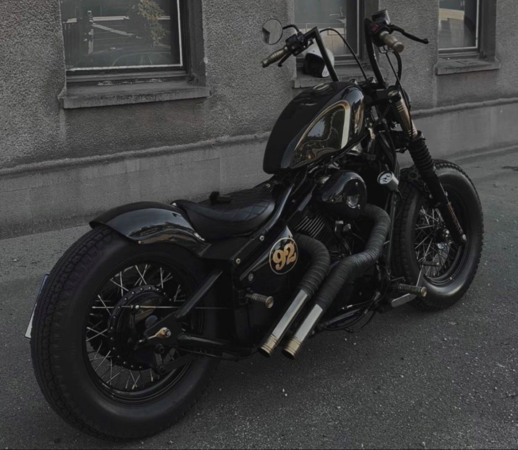 800 VN - Bobber vu sur le net - Page 5 Ad46d310