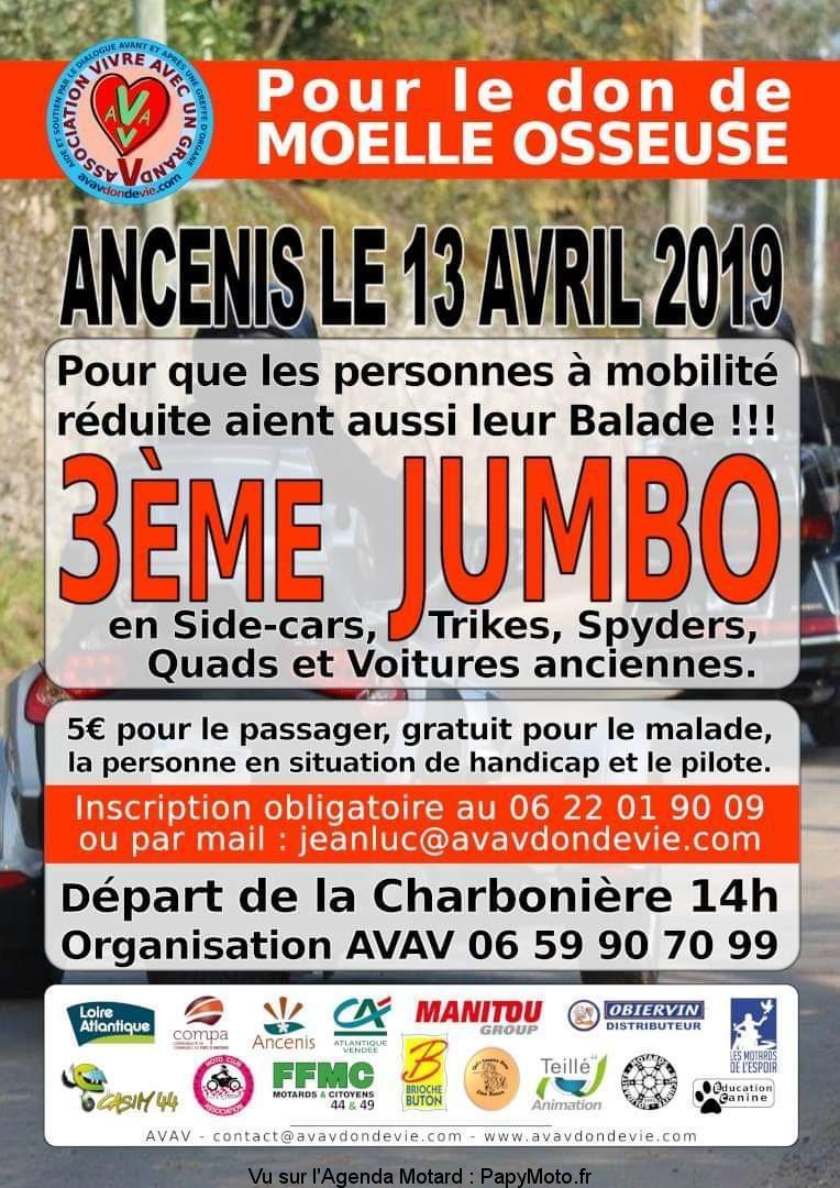 Balade -  13 Avril 2019 - Ancenis (44) Anceni10