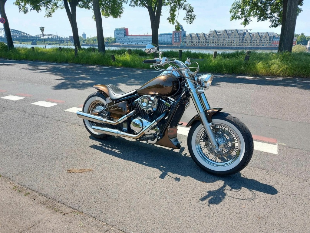 800 VN - Bobber vu sur le net - Page 3 B411f610