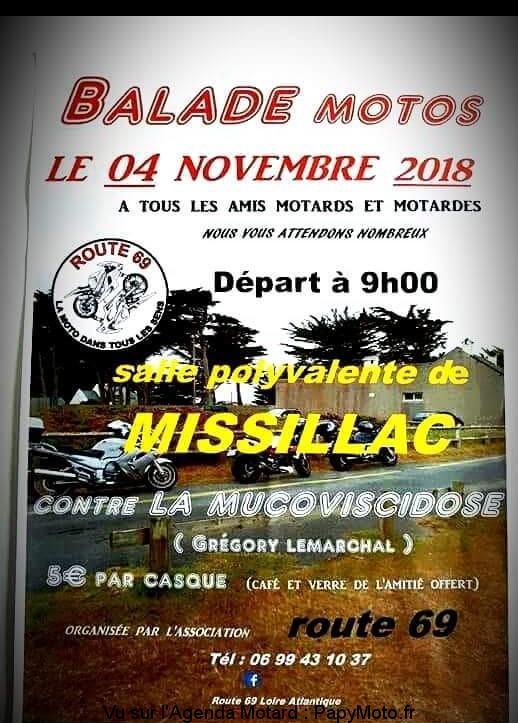 Balade - Dimanche 4 novembre 2018 - MISSILLAC Balade27