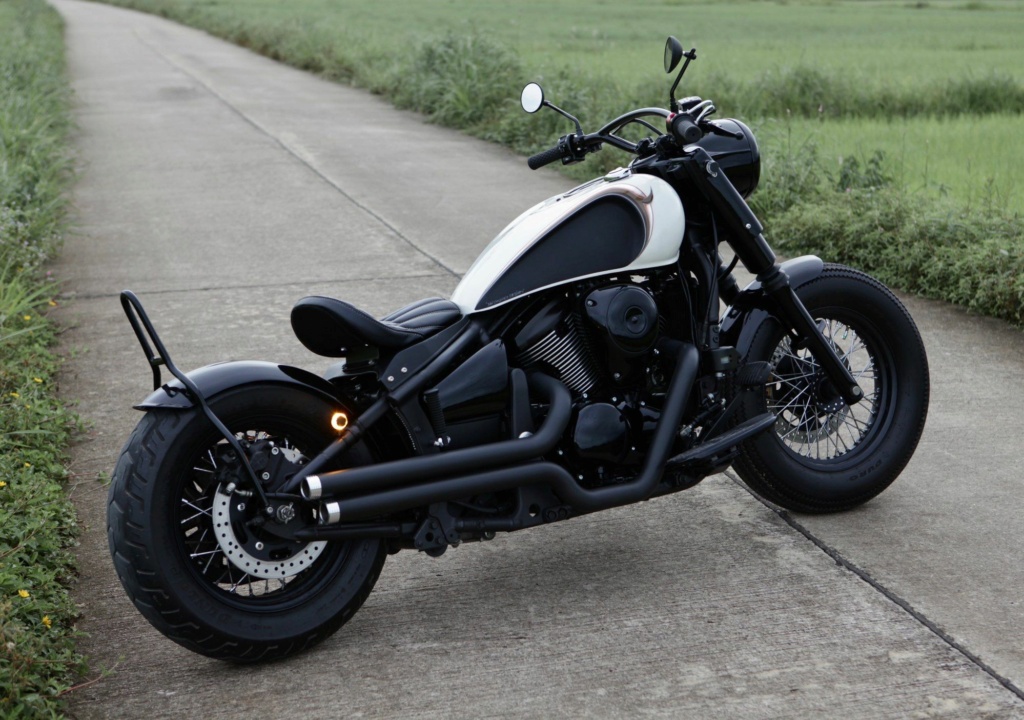 900 VN - bobber vu sur le net  - Page 12 C1a6bf13