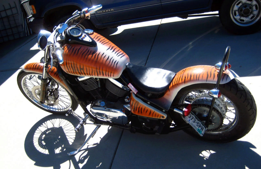 800 VN - Bobber vu sur le net - Page 8 Tiger_11