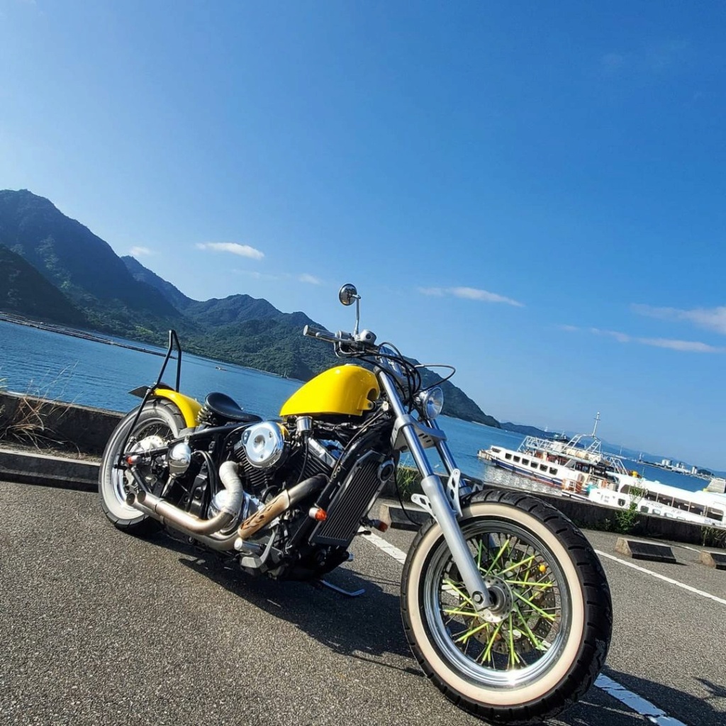 800 VN - Bobber vu sur le net - Page 15 Urlht367