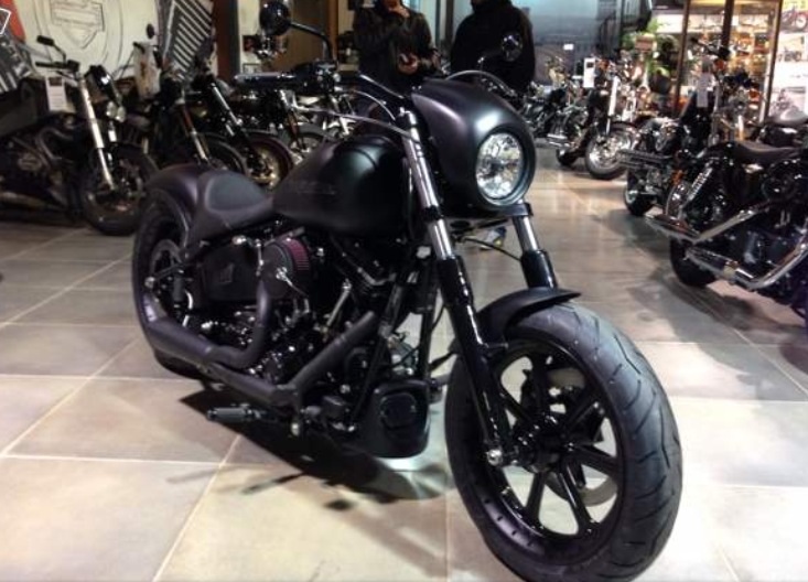 Softail slim custom  - Page 14 Image10