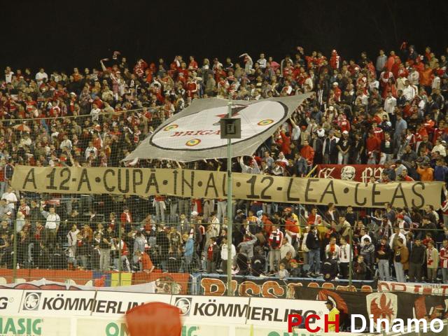 FC DINAMO BUCURESTI 4311