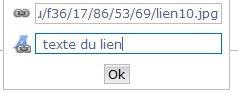 Comment mettre un lien dans un message. Textel10