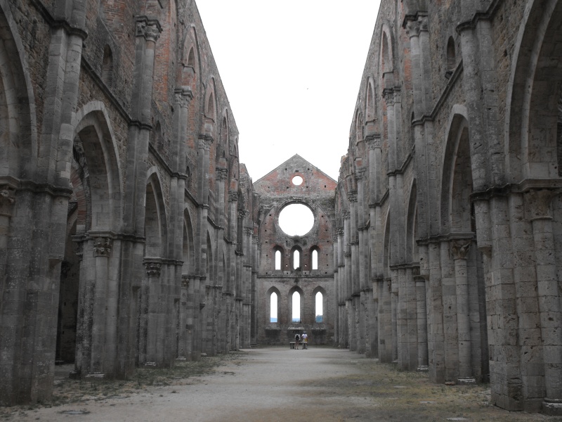 7/7 - Girello all'Abbazia di Morimondo...Scozia? Toscan10