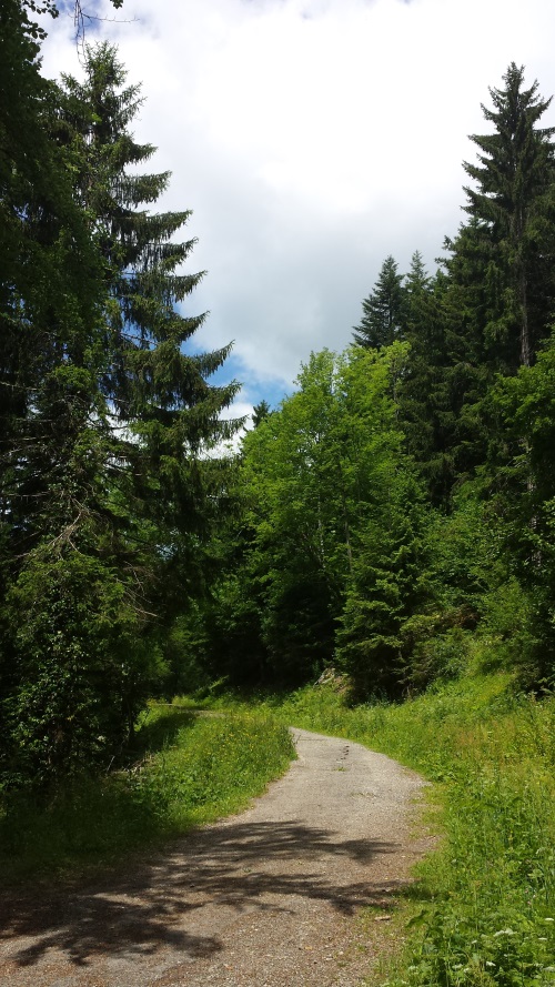 marcher pieds nus 20130610