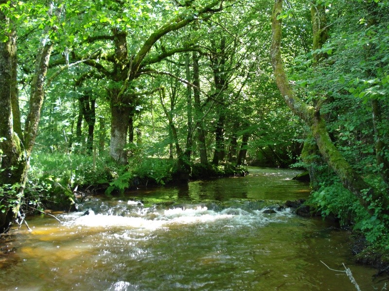Quelques jours en Corrèze Dsc00111