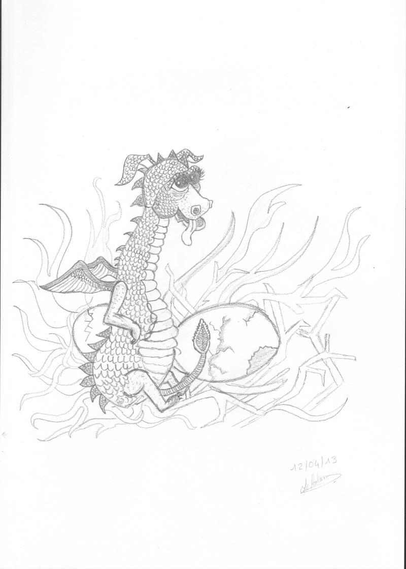 [Thème permanent] Les dragons! - Page 8 Dragon10