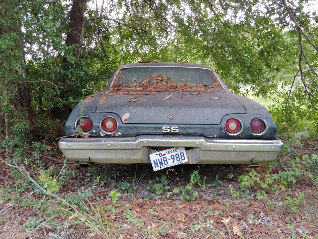 G3 Junkyard Finds - East Texas 20180911