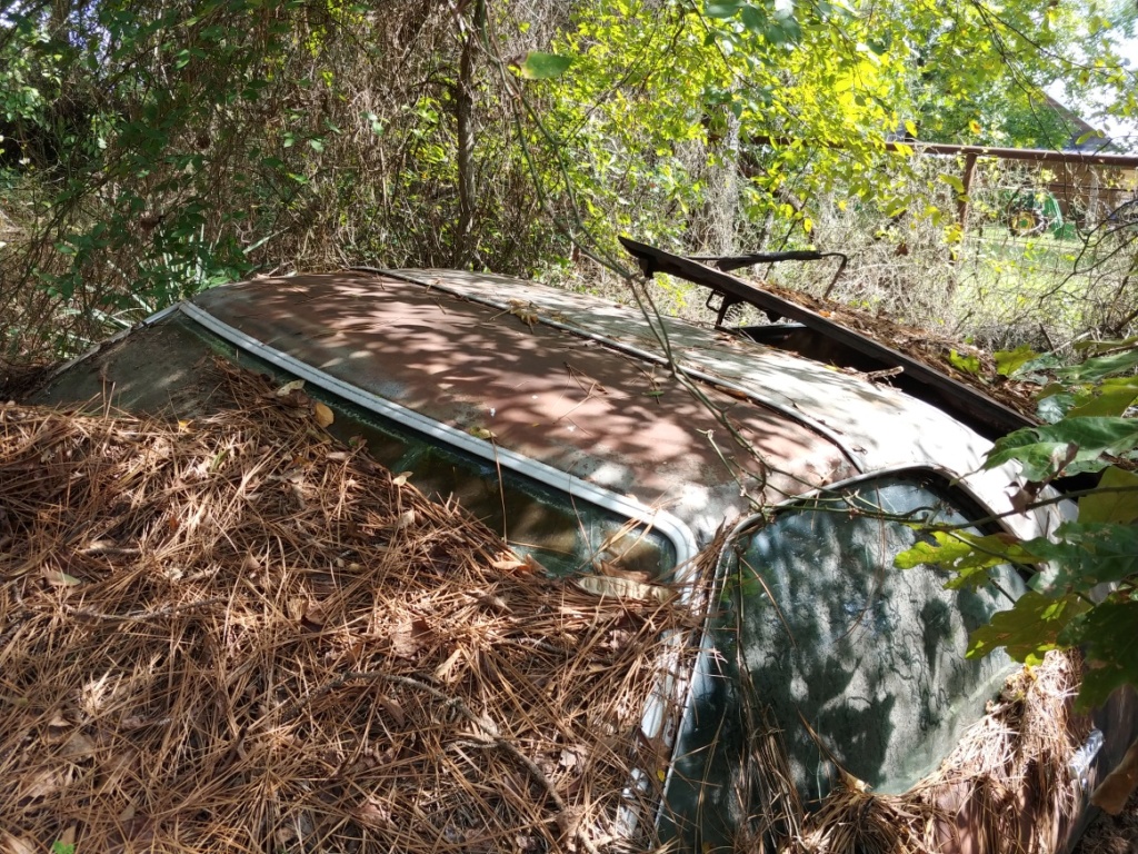 G3 Junkyard Finds - East Texas 20180915