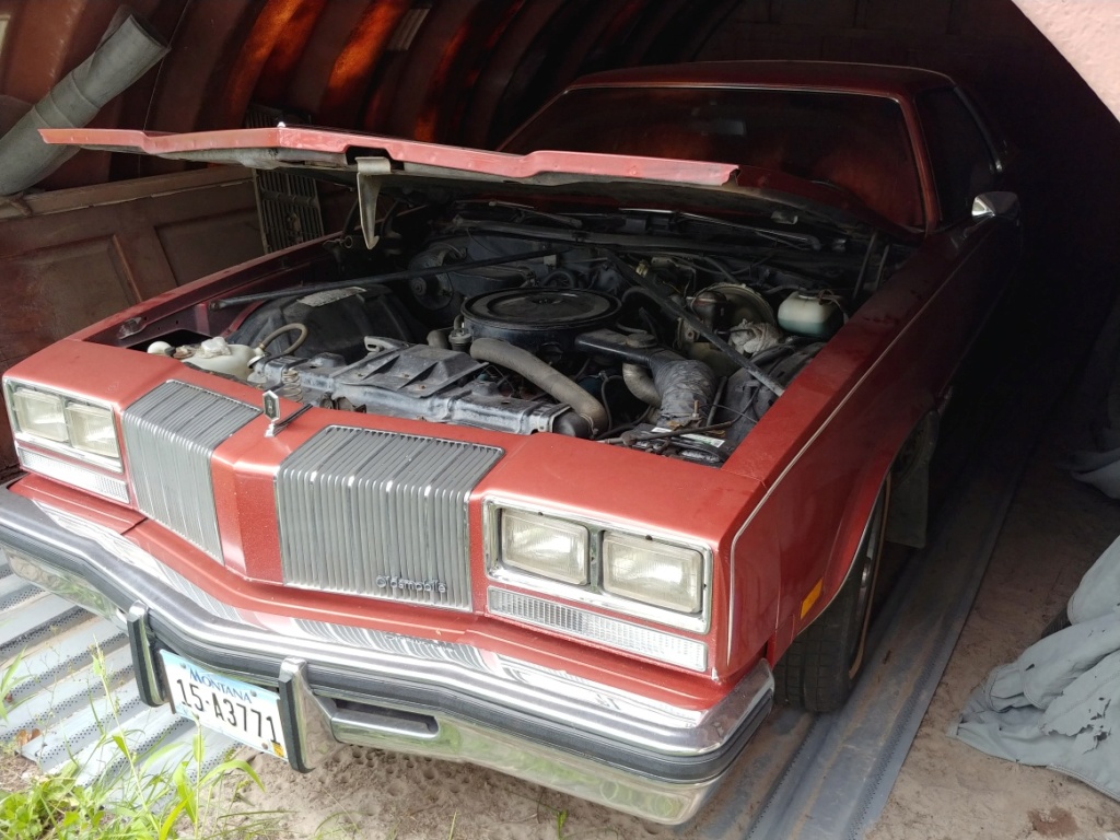 77 Cutlass 260 V-8 5 Speed with 17k Miles 20180920