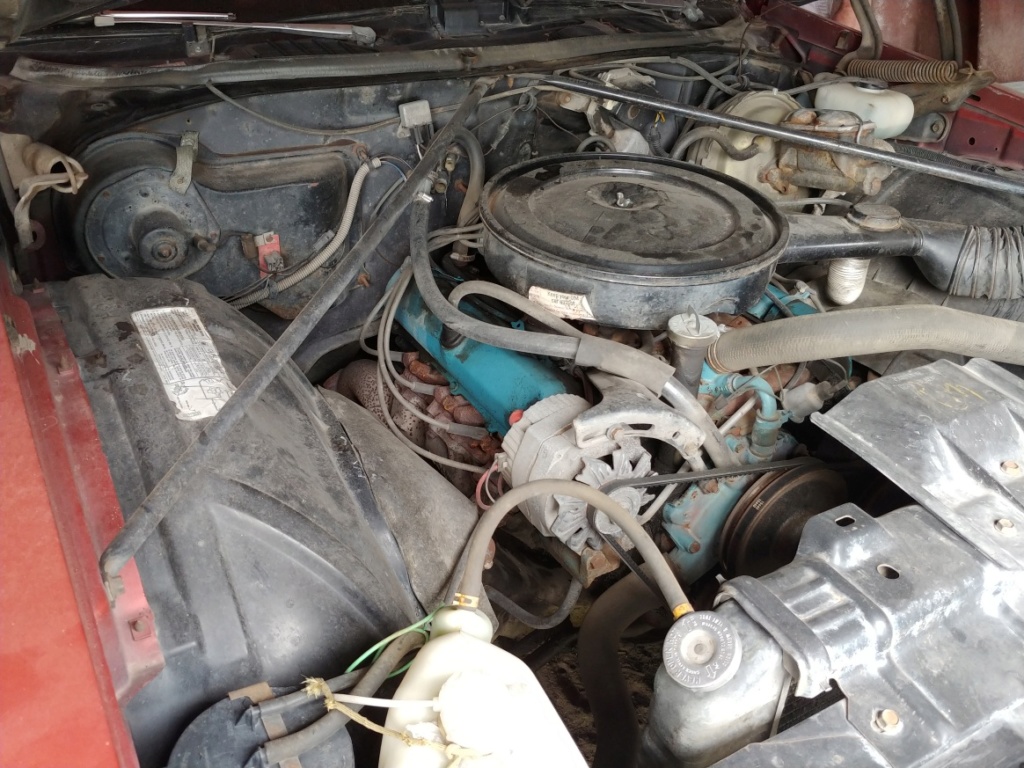 77 Cutlass 260 V-8 5 Speed with 17k Miles 20180925