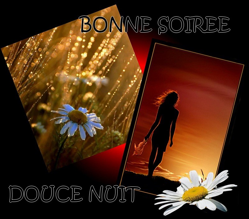 bonzour bonne zournée et bonne nuit notre ti nid za nous - Page 40 Soiree13