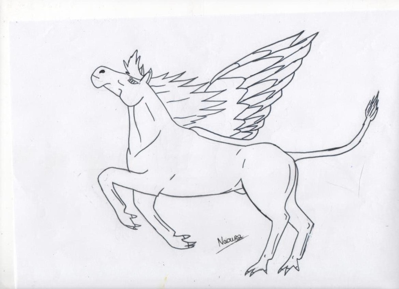 Galery drawing from me !! ;) Cheval11