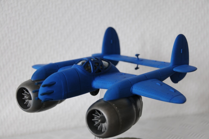 P-48c Pelican Dsc_2110