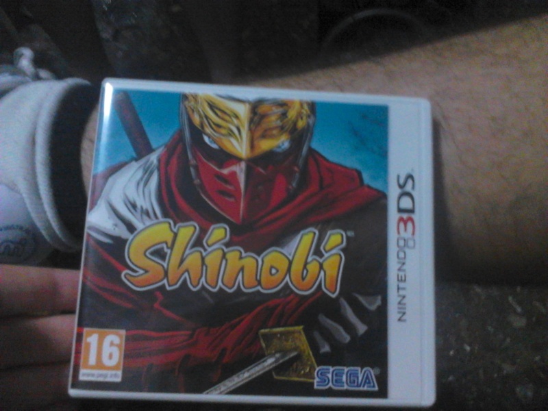 SHINOBI 3DS Dsc_0014