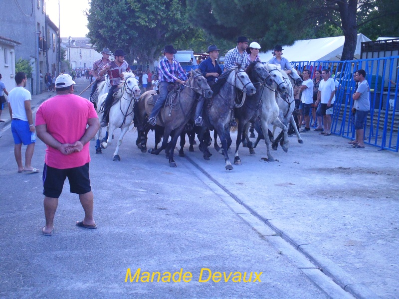 fête de Vergèze festival d'abrivado&bandido le 24/07/2013 Pict0024